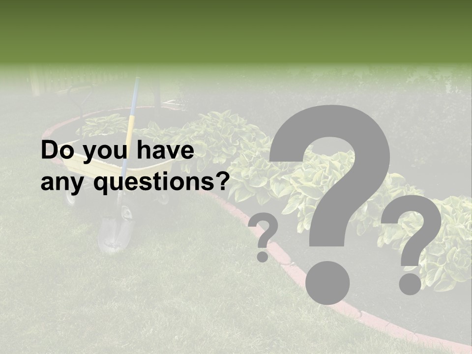 Shredded Birch Grow PowerPoint Template