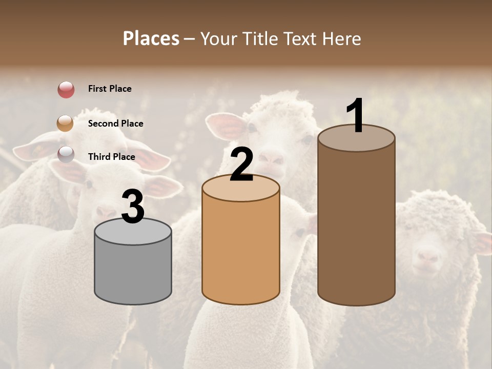 Nature Mob Ovine PowerPoint Template