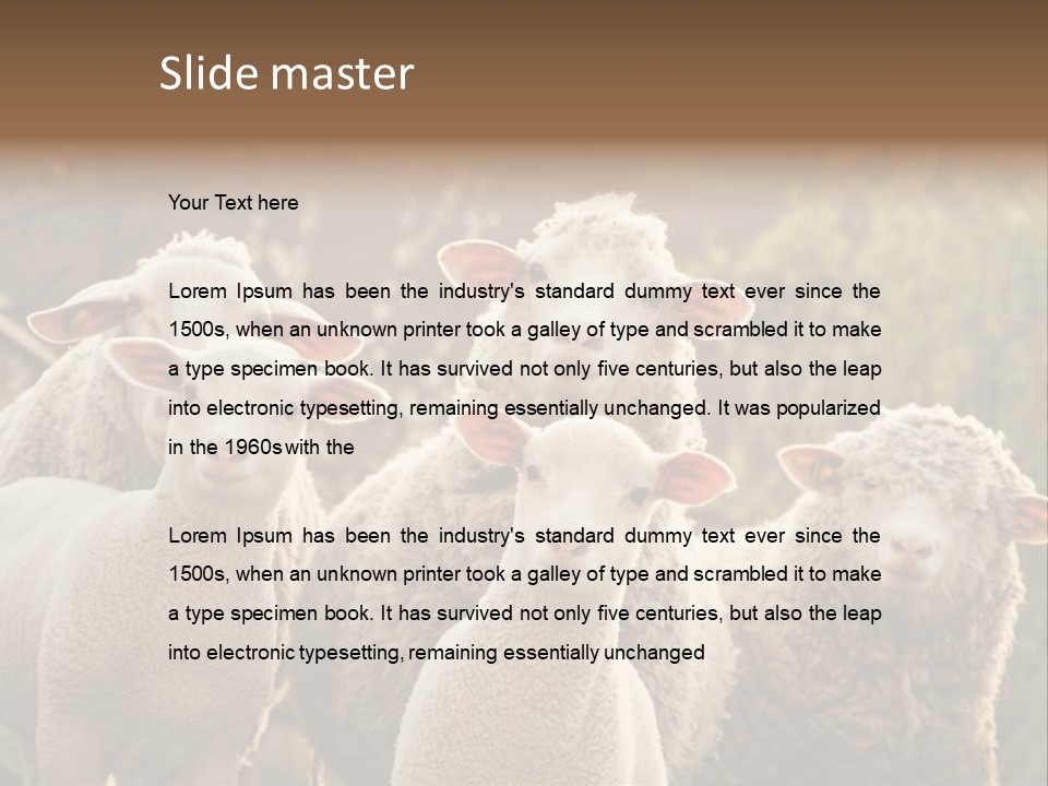 Nature Mob Ovine PowerPoint Template