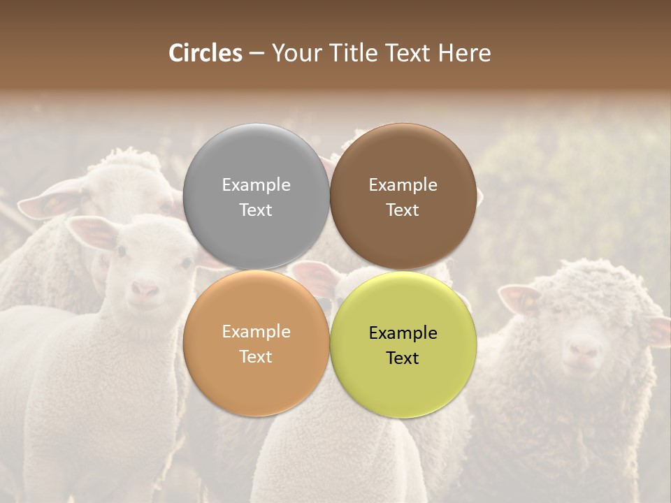 Nature Mob Ovine PowerPoint Template