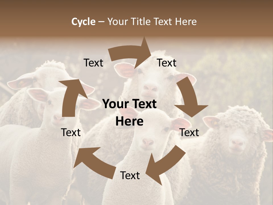 Nature Mob Ovine PowerPoint Template