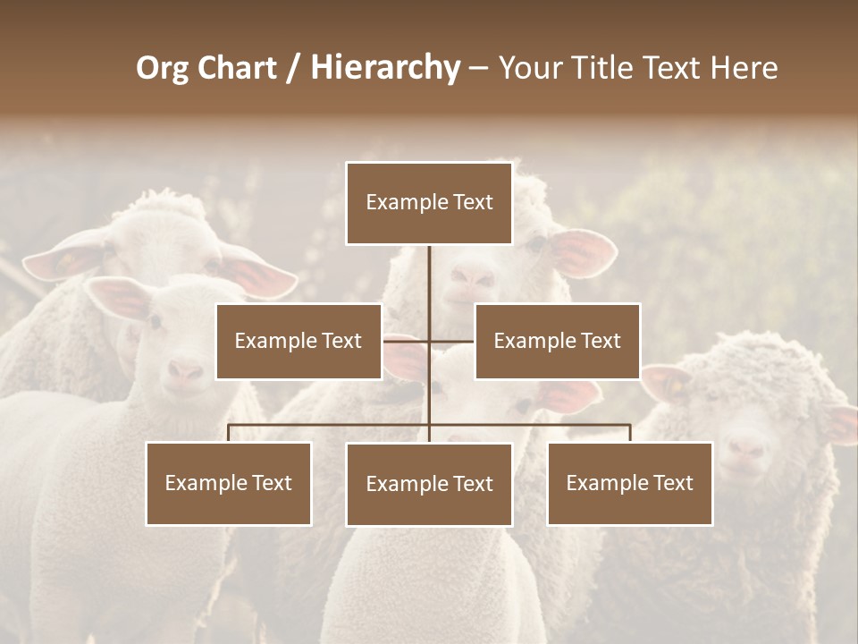 Nature Mob Ovine PowerPoint Template