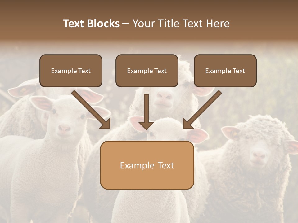 Nature Mob Ovine PowerPoint Template