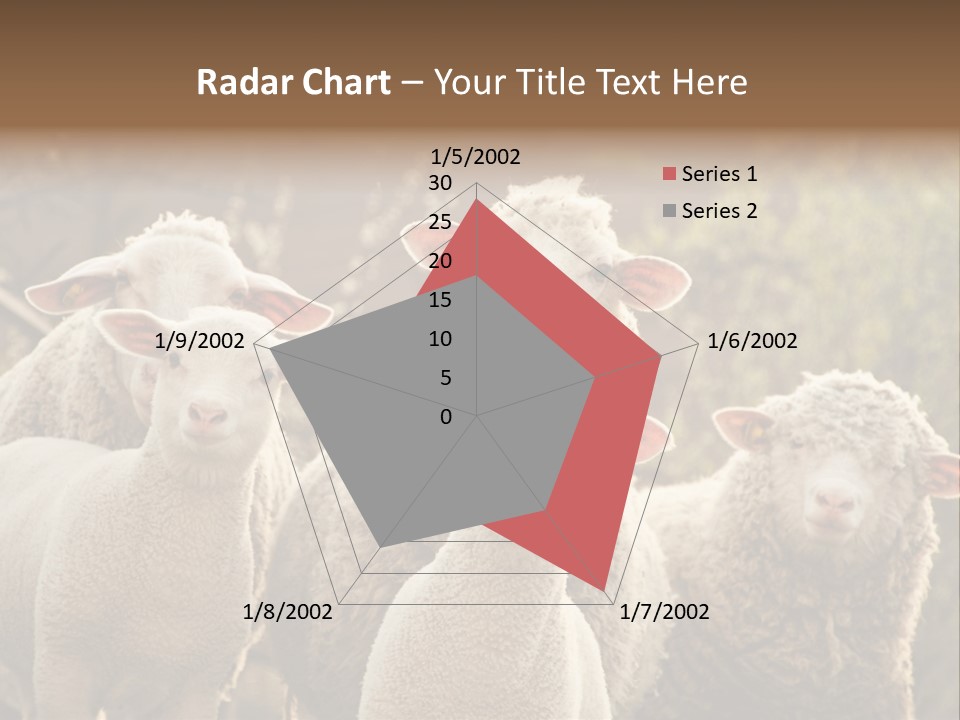 Nature Mob Ovine PowerPoint Template