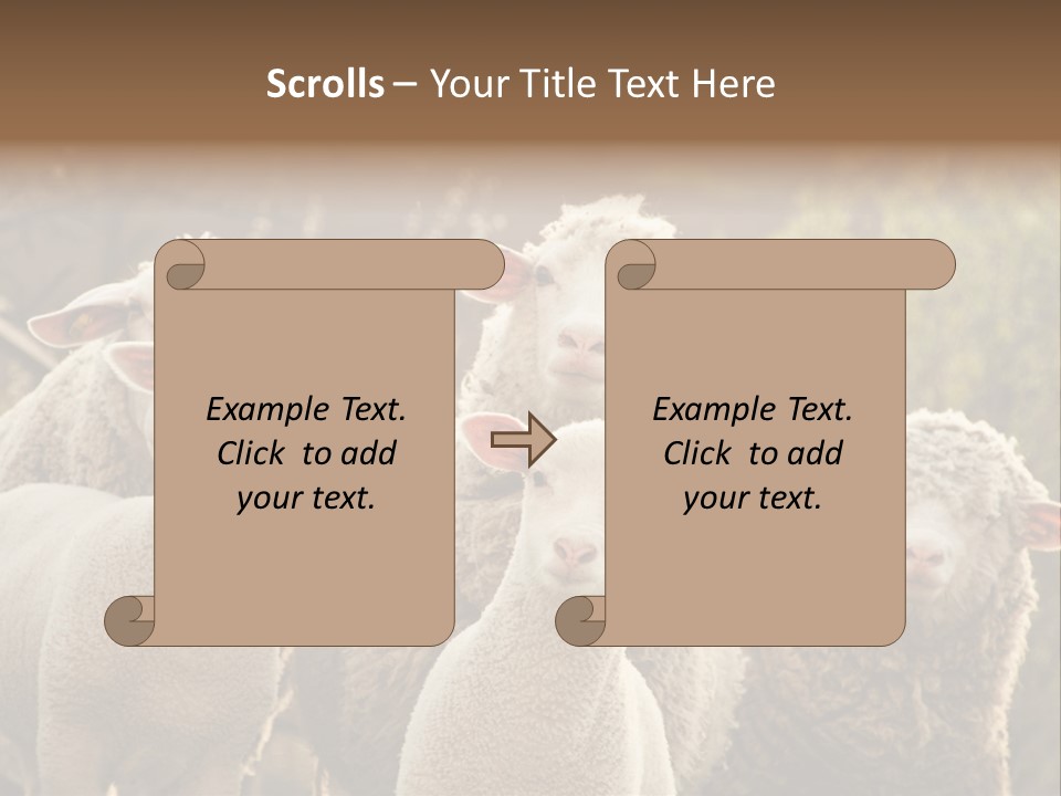 Nature Mob Ovine PowerPoint Template