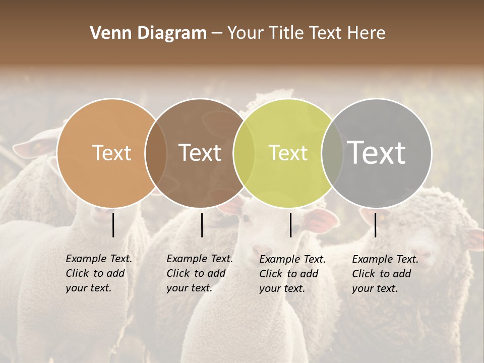 Nature Mob Ovine PowerPoint Template
