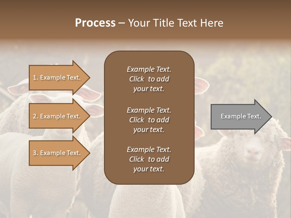 Nature Mob Ovine PowerPoint Template