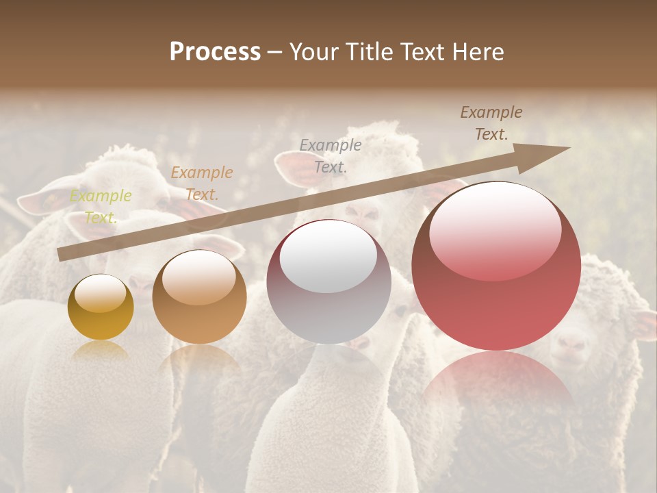 Nature Mob Ovine PowerPoint Template