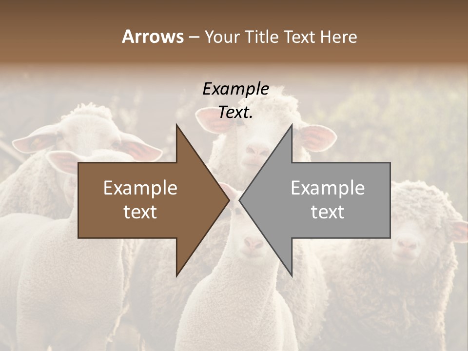 Nature Mob Ovine PowerPoint Template