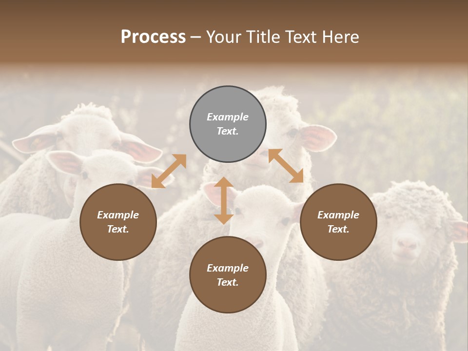 Nature Mob Ovine PowerPoint Template