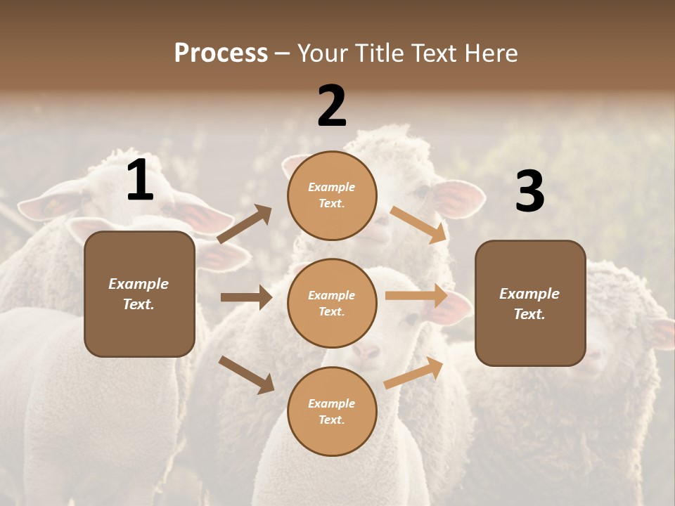 Nature Mob Ovine PowerPoint Template