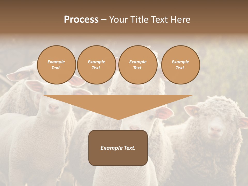 Nature Mob Ovine PowerPoint Template