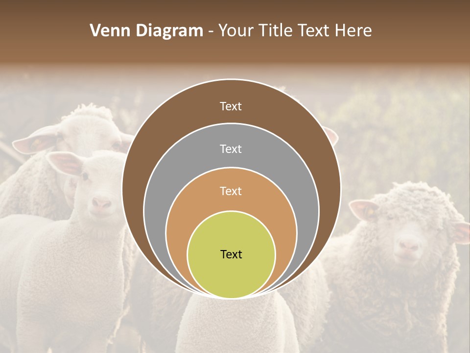 Nature Mob Ovine PowerPoint Template