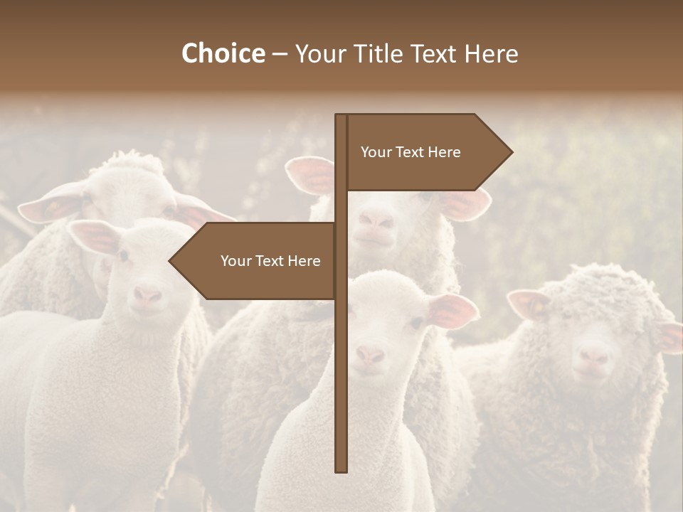Nature Mob Ovine PowerPoint Template
