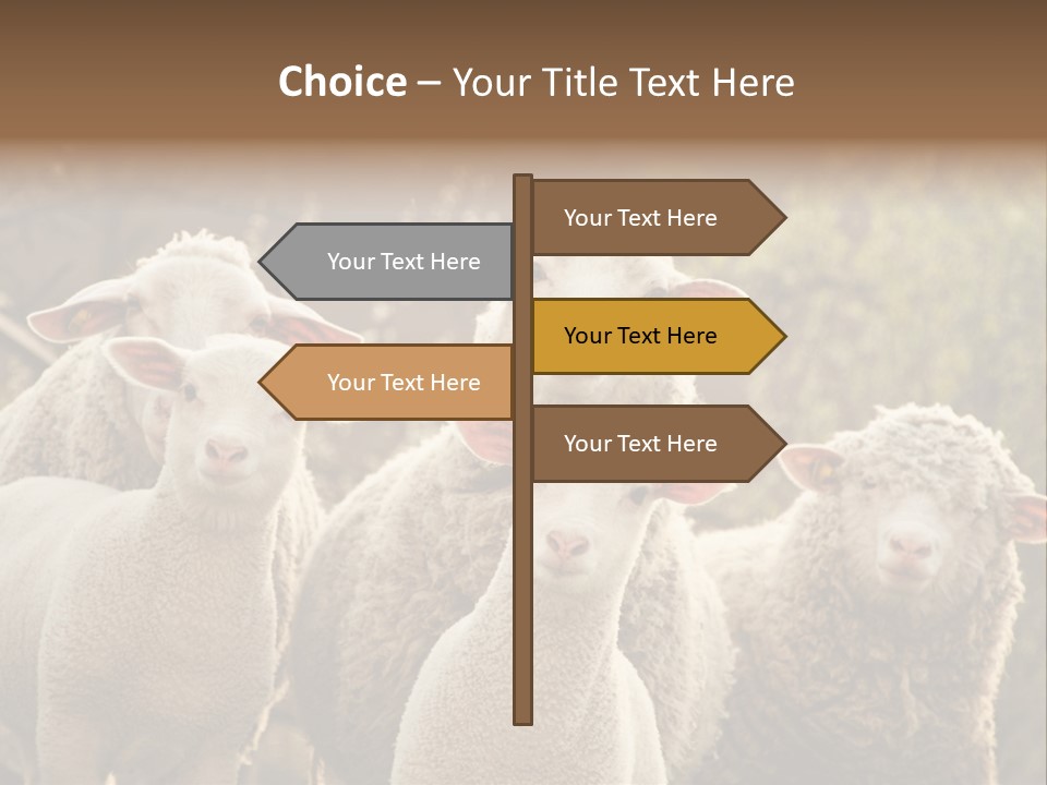 Nature Mob Ovine PowerPoint Template