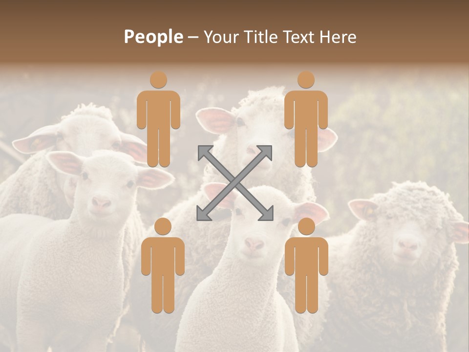 Nature Mob Ovine PowerPoint Template
