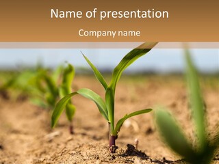 Dirt Beginnings Grain PowerPoint Template