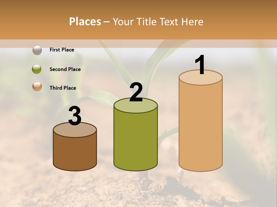 Dirt Beginnings Grain PowerPoint Template