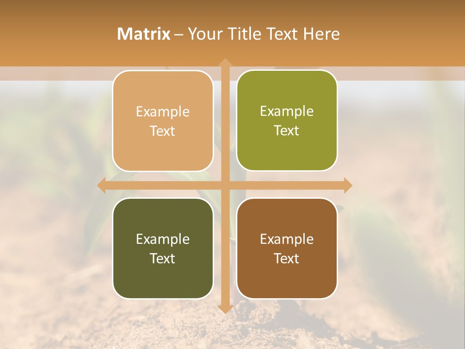 Dirt Beginnings Grain PowerPoint Template