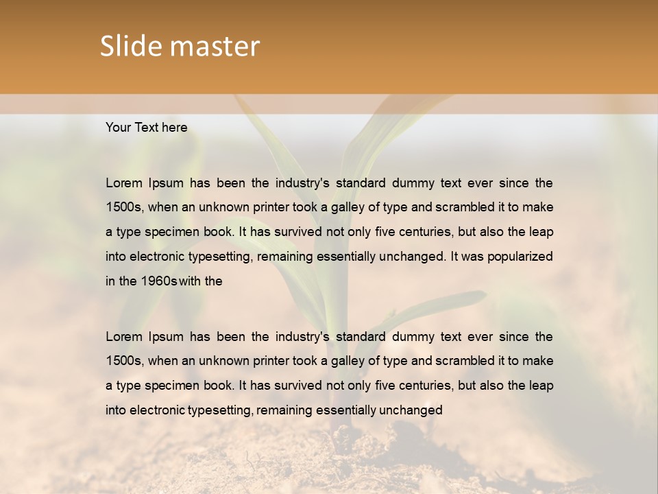 Dirt Beginnings Grain PowerPoint Template