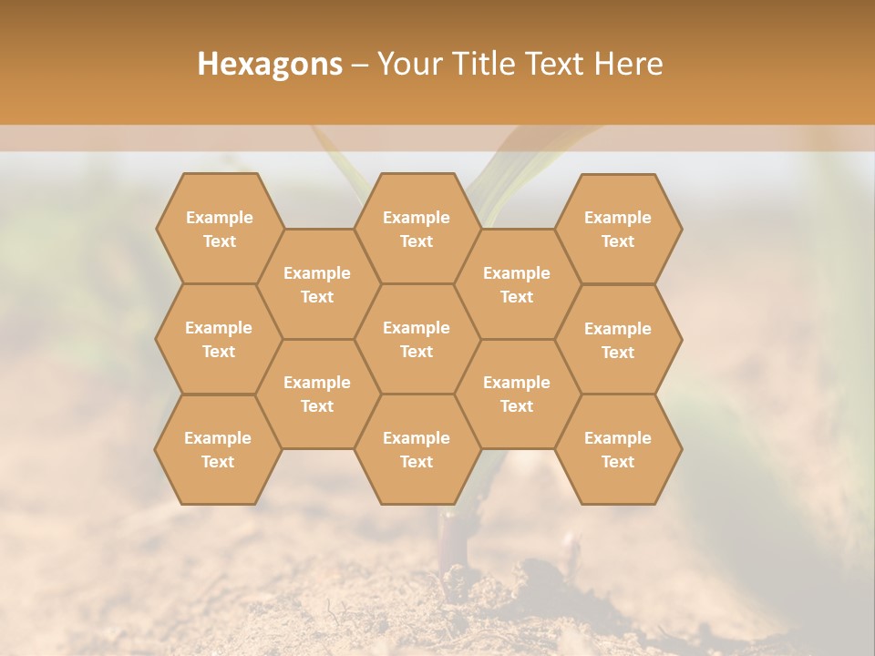 Dirt Beginnings Grain PowerPoint Template