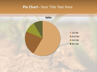 Dirt Beginnings Grain PowerPoint Template