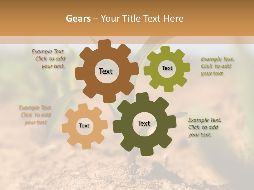 Dirt Beginnings Grain PowerPoint Template