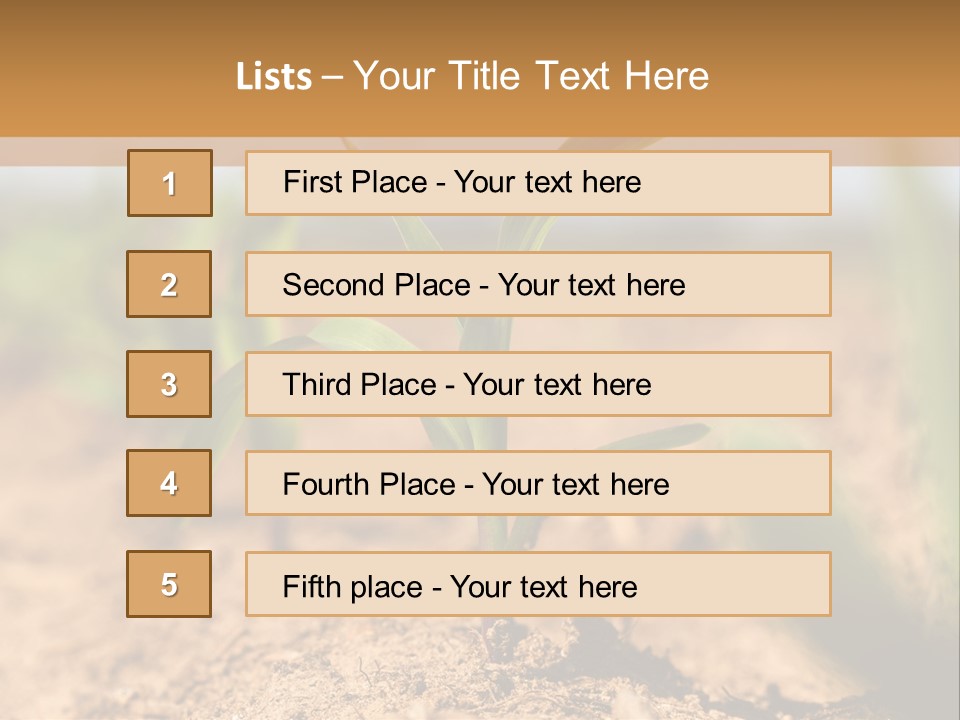 Dirt Beginnings Grain PowerPoint Template
