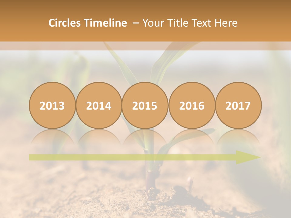 Dirt Beginnings Grain PowerPoint Template