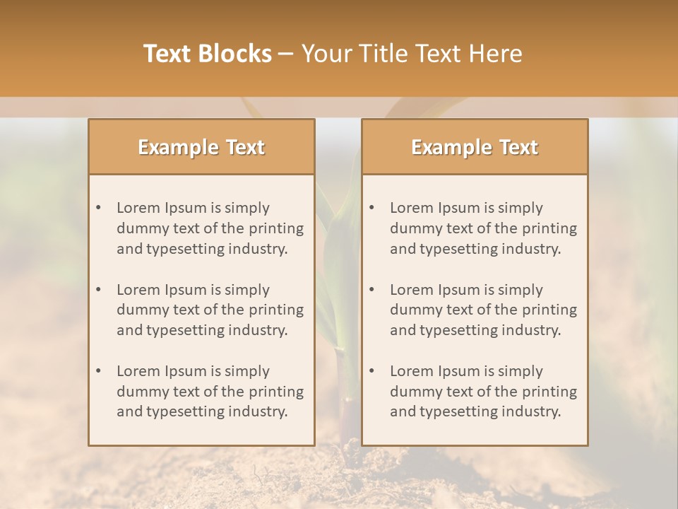 Dirt Beginnings Grain PowerPoint Template