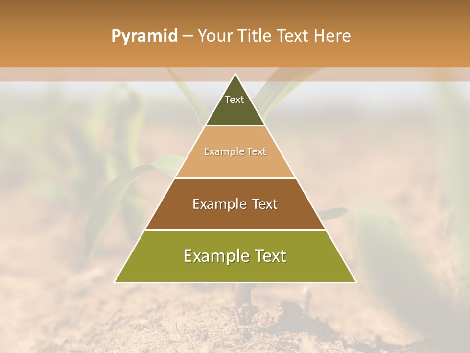 Dirt Beginnings Grain PowerPoint Template