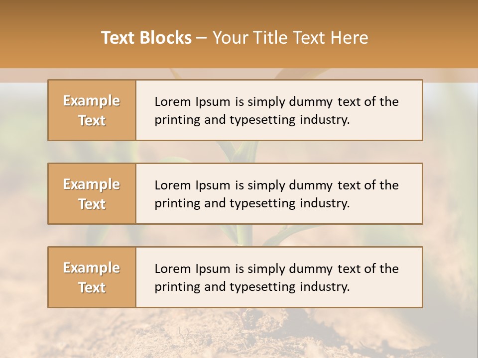 Dirt Beginnings Grain PowerPoint Template