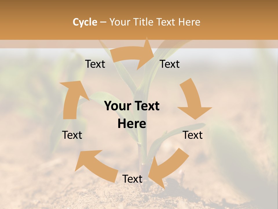 Dirt Beginnings Grain PowerPoint Template