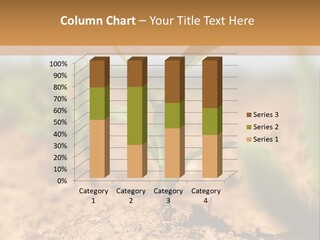 Dirt Beginnings Grain PowerPoint Template