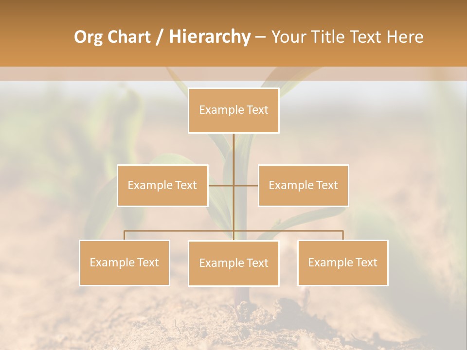 Dirt Beginnings Grain PowerPoint Template