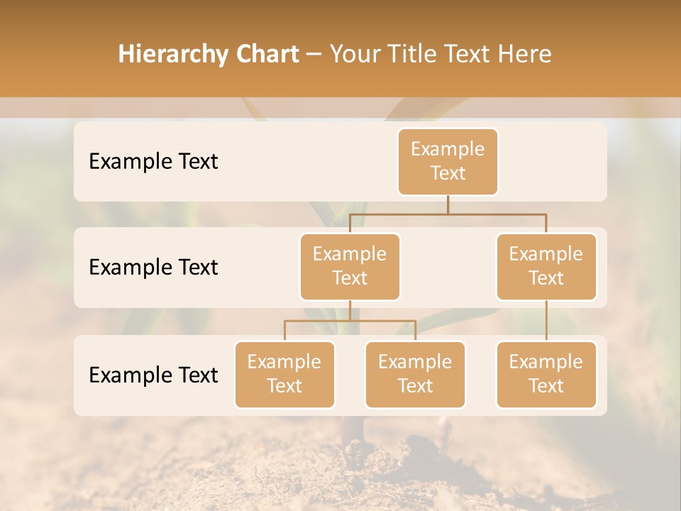 Dirt Beginnings Grain PowerPoint Template