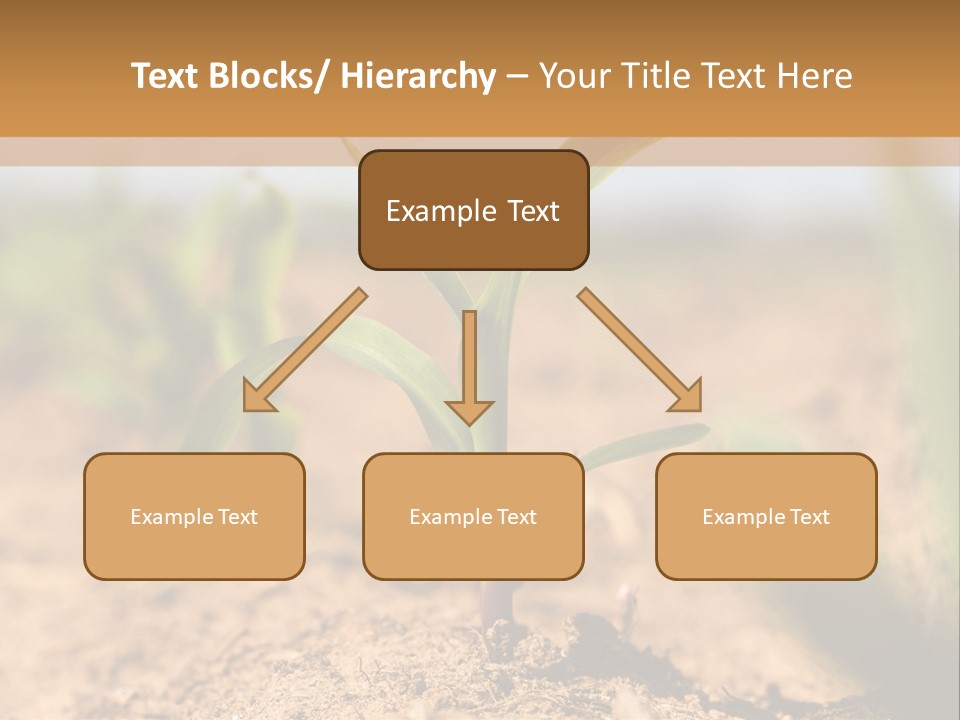 Dirt Beginnings Grain PowerPoint Template