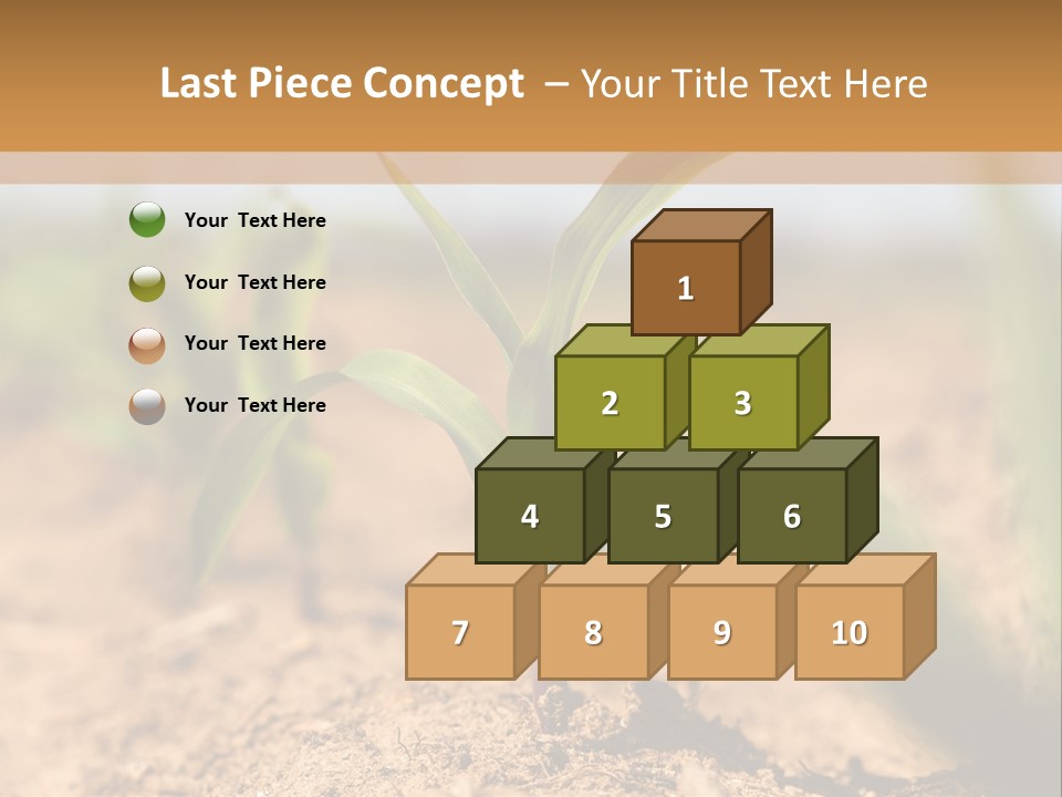 Dirt Beginnings Grain PowerPoint Template
