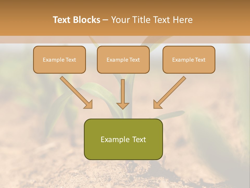 Dirt Beginnings Grain PowerPoint Template