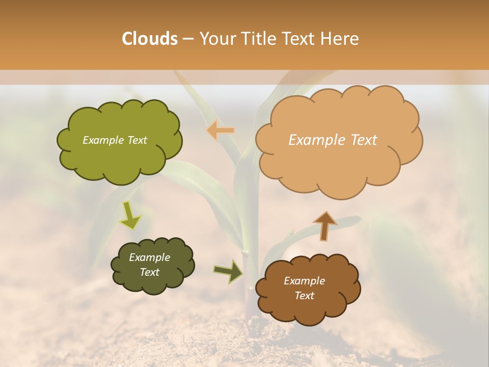 Dirt Beginnings Grain PowerPoint Template