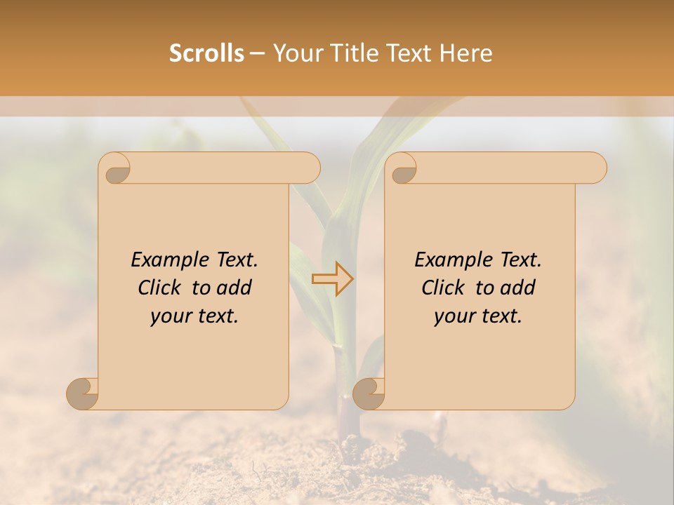 Dirt Beginnings Grain PowerPoint Template