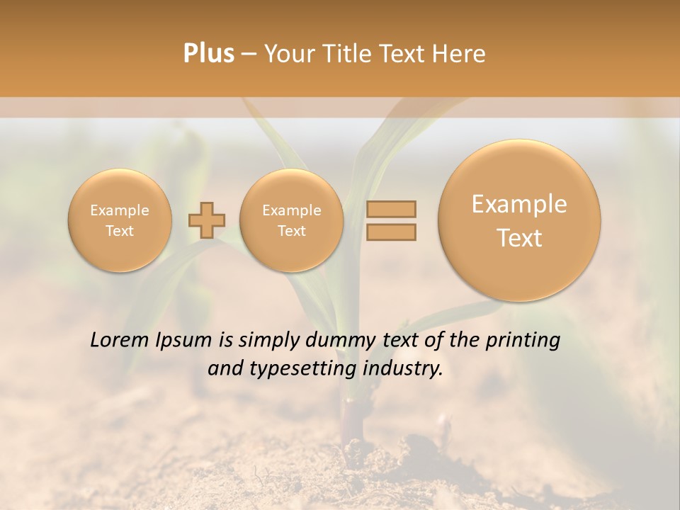 Dirt Beginnings Grain PowerPoint Template