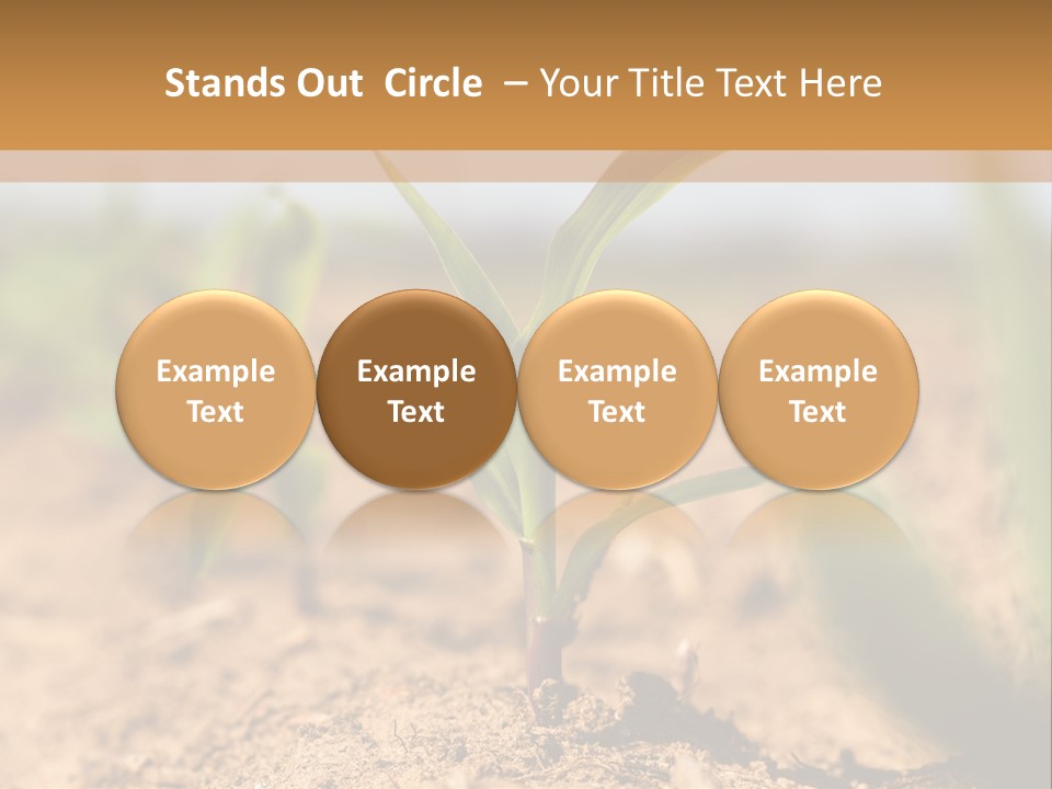 Dirt Beginnings Grain PowerPoint Template