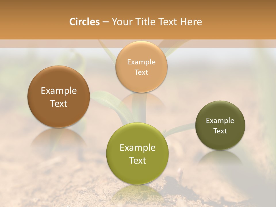 Dirt Beginnings Grain PowerPoint Template