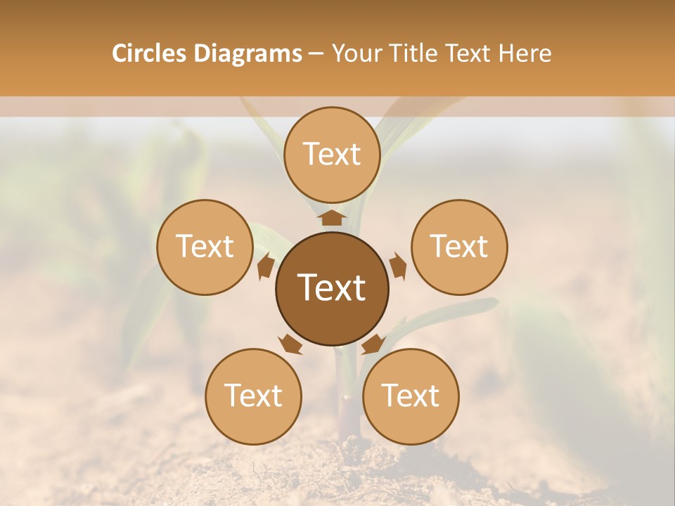 Dirt Beginnings Grain PowerPoint Template