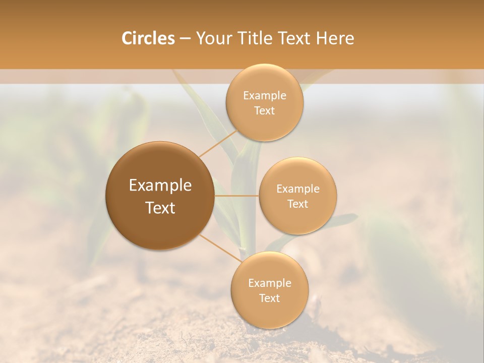 Dirt Beginnings Grain PowerPoint Template