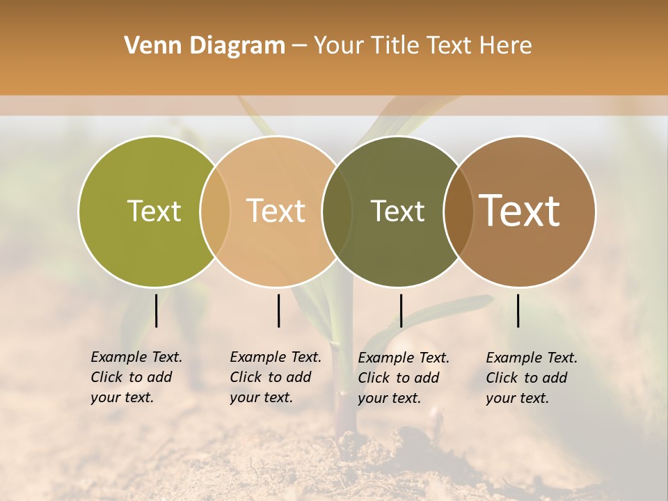 Dirt Beginnings Grain PowerPoint Template