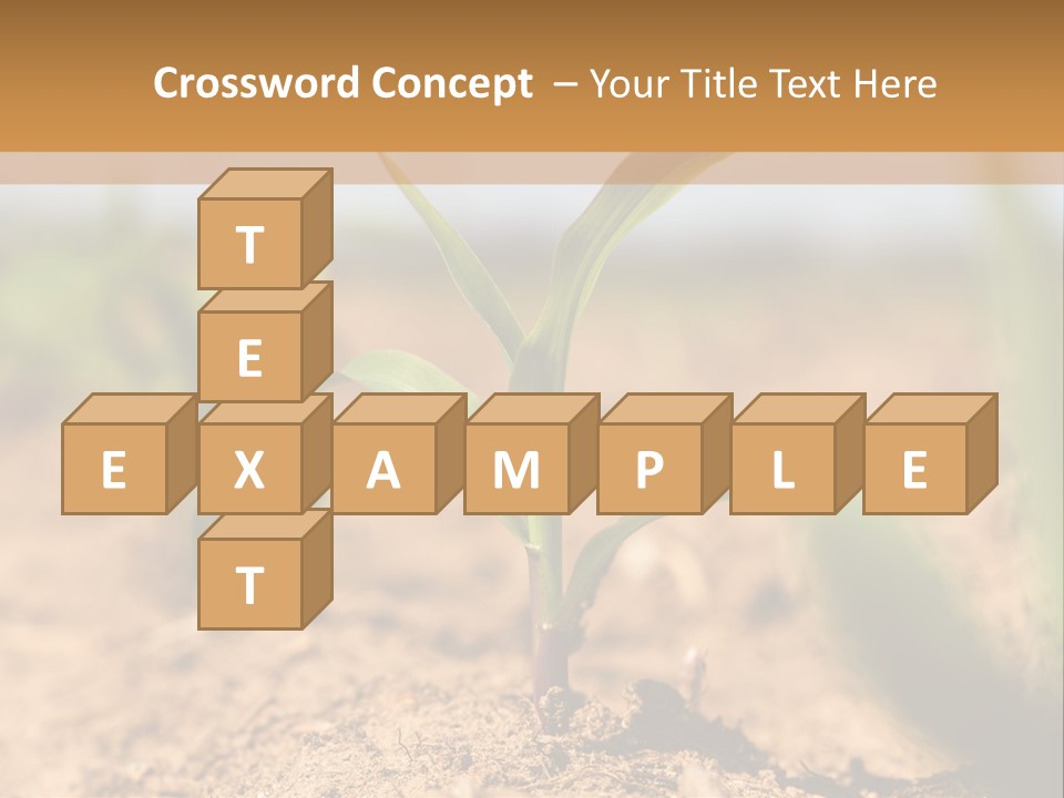 Dirt Beginnings Grain PowerPoint Template