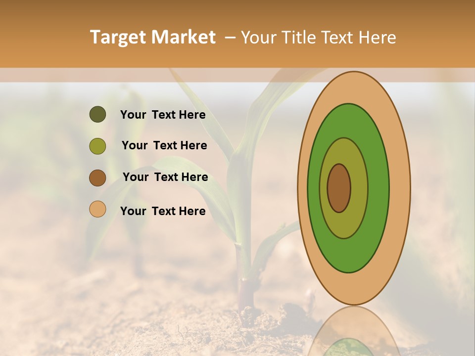Dirt Beginnings Grain PowerPoint Template