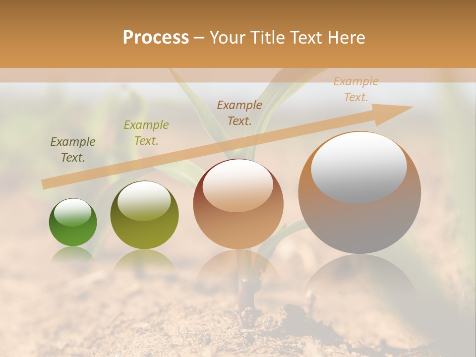 Dirt Beginnings Grain PowerPoint Template